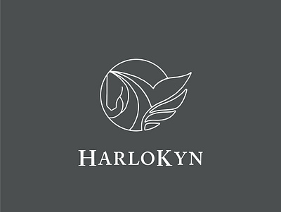 HarloKyn Logo Design brand design branding branding design finance illustration logo vector