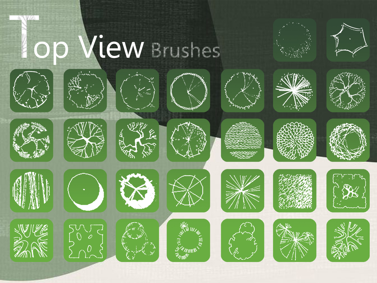 Trees top view brushes for landscape design by Starchi on Dribbble