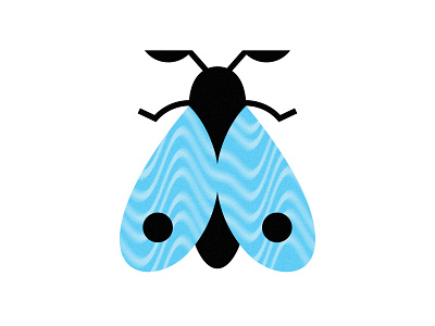 blue moth blue butterfly flat illustration illustration insect minimal moth nature vector