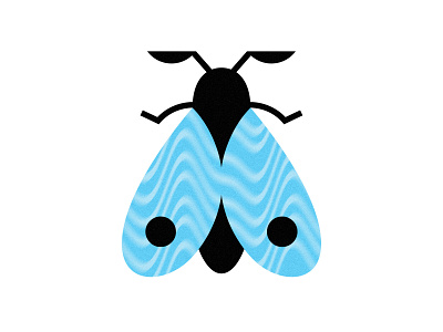 blue moth