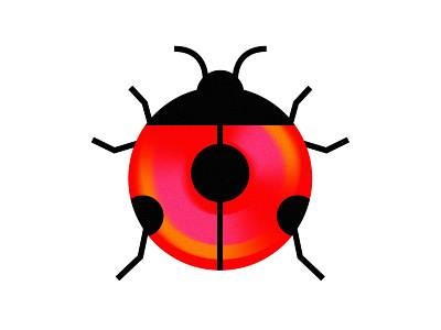 ladybug beetle flat illustration illustration insect ladybug minimal nature vector