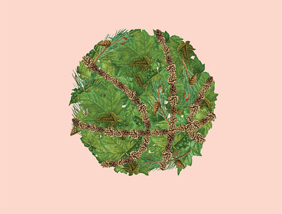 Canadian foliage ball basketball design flower illustration leaves tree