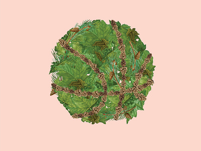 Canadian foliage ball basketball design flower illustration leaves tree