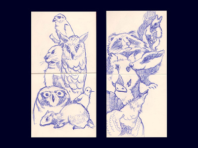 Sketches from the zoological museum animals birds drawing graphics quick sketches sketches