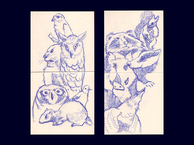 Sketches from the zoological museum