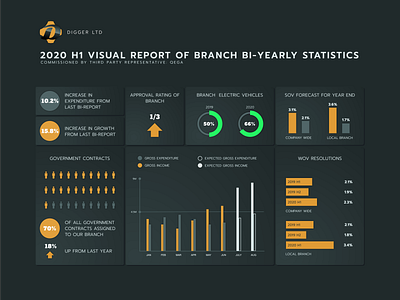 Digger LTD 2020 H1 - Inforgraphics