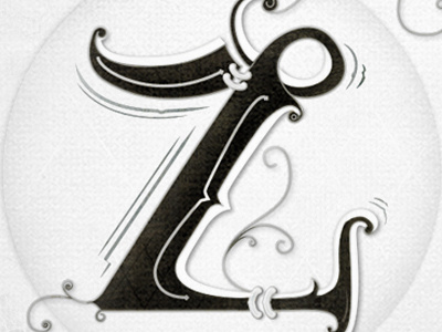 "Z" Hand lettering black calligraphy hand lettering handlettering illustrator type typo typography