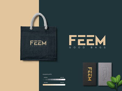 Feem Modern Minimal Lettermark Logo Design