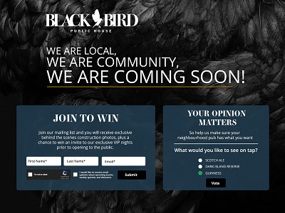 Black Bird Public House black blue community email gold home landing page local poll pre open temporary home web site