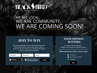 Black Bird Public House