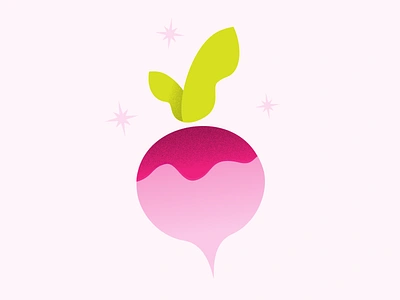 Hello Dribbble debut farmers market garden pink radish vegetable