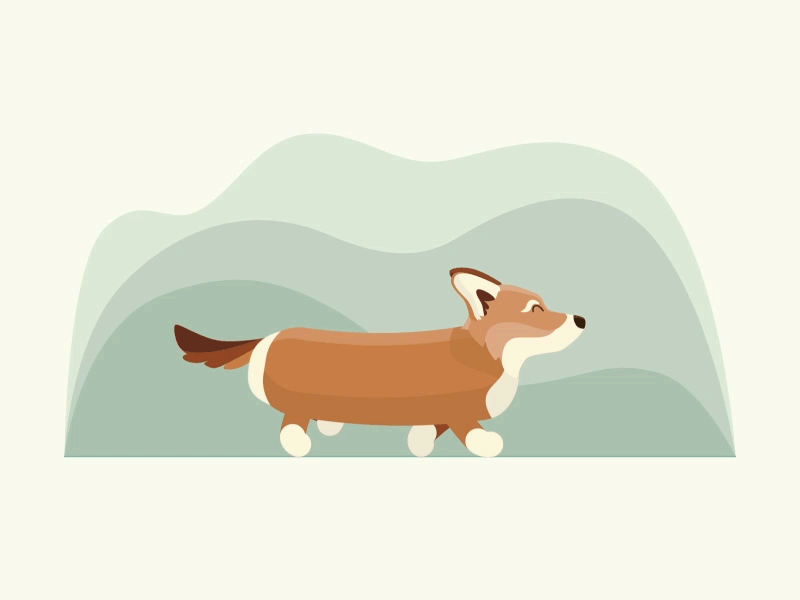 Corgi on a walk 2danimation adobe illustrator after effects character animation corgi design dog dogwalk gif illustration loop walk walkcycle