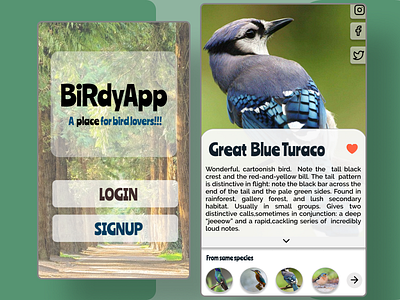 BirdyApp app app design birds information ui