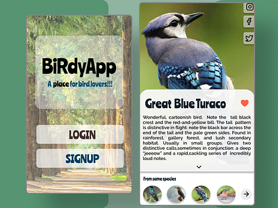 BirdyApp