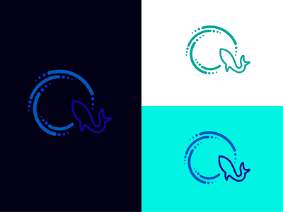 Q Letter + Shark design illustration letter logo ocean q q letter q logo sea shark