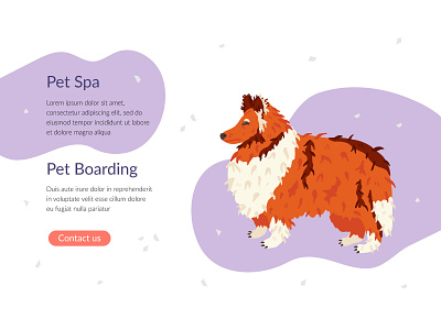 Pet care banner animal banner collie design dog flat grooming hand drawn illustration pet vector