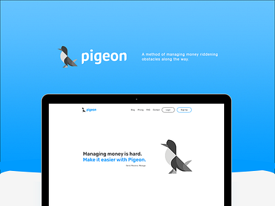 Pigeon Concept concept pigeon pigeon concept project web