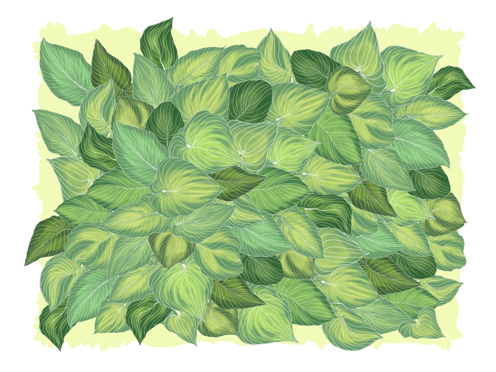 Wall Full Of Hostas By Camila Quintana On Dribbble   Host2 4x 