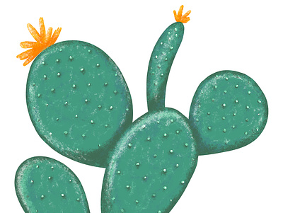 Cactus cactus cactus illustration design green huion illustration illustration art modern nature photoshop plant vegan