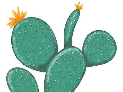 Cactus