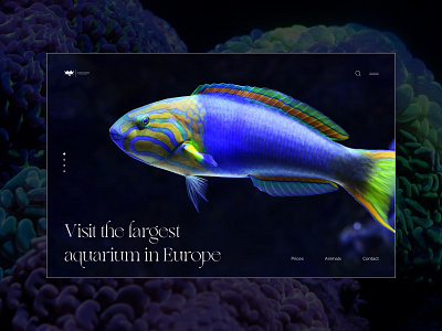 L'Oceanogràfic — largest oceanarium in Europe | Home page aquarium blue clean design elegant fish flat marine minimal minimalist nature ocean oceanarium sea simple typhograhpy ui ux web web design