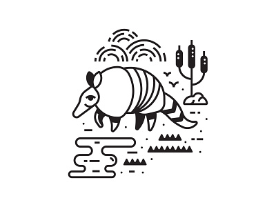 Dasypodidae animal animalia armadillo armour icon illustration