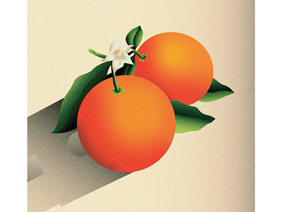 Ojai, Cailfornia: Oranges bell tower california design flat illustration ojai orange vector