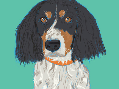 Huck's Portrait digital art digital painting dog drawing drawings illustration illustration art illustration design illustrator pet portrait procreate procreate app