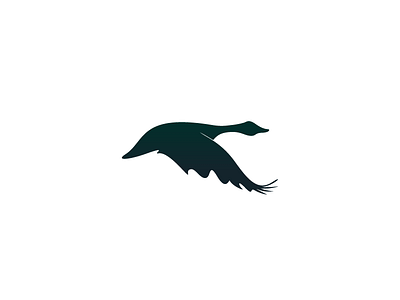 in flight bird identity logo mark symbol