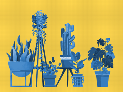 illustration_Plants