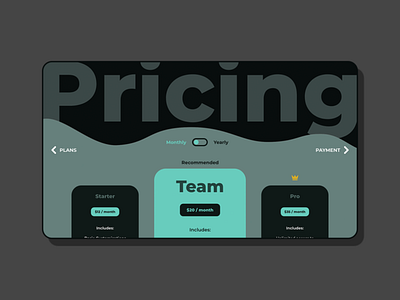 Pricing Page Concept branding business concept design finance minimal payment plans pricing page pricing plan pricing plans product ui ux website