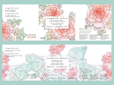 Cereus Tea - Package Design illustration package design packaging tea