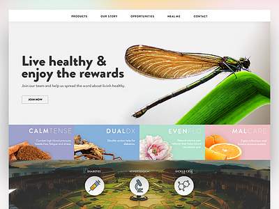 Live healthy landing page dragonfly healthy kalman landing live magyari page