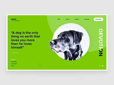 DOGGY – Why do we love dogs! animation clean interaction interface layout minimal motion typography ui ux web webdesign