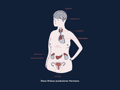 Menopause. And everything that comes with it. branding design draw drawing drawingart drawings drawn graphic design hand drawn illustrated illustration illustration art illustrations illustrator tgs thegraphicsociety