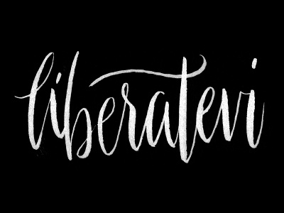 Day 27 - 365 Days Of Lettering - Liberatevi brush pen hand illustrator italian lettered lettering liberatevi type zebra