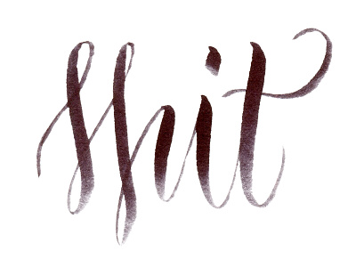 Day 57 of 365 Days of Lettering brush brush script calligraphy faber castel hand lettering lettering script shit type