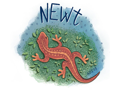 N is for Newt animal animal alphabet doodle drawing hand drawn illustration illustrator lizard newt salamander