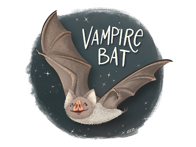 V is for Vampire Bat animal animal alphabet animal illustration bat doodle drawing hand drawn illustration nature vampire vampire bat