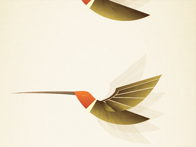 Humbirds bird flight graphic hummingbird illustration motion stop motion