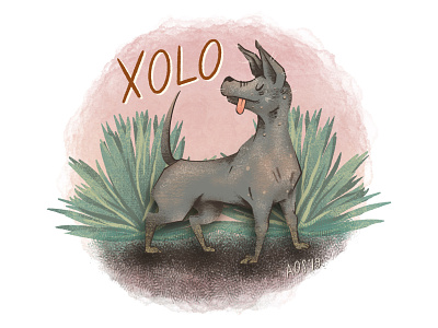X is for Xoloitzcuintli animal alphabet dog doodle drawing hand hand drawn illustration illustration series illustrator xolo xoloitzcuintli