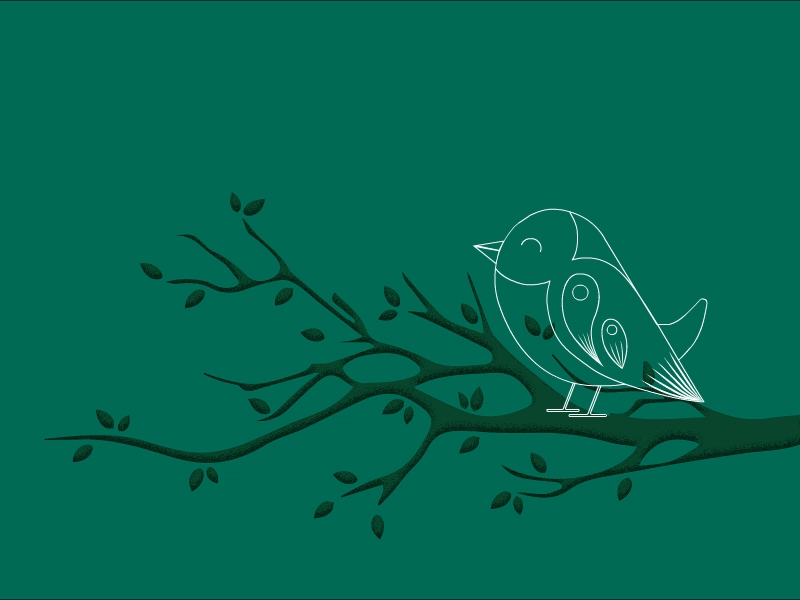 Bird singing on a branch 2danimation bird branch illustration love motion design peace song tree