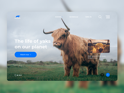 Animal Planet Redesign | Yaks