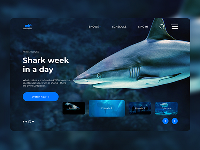Animal Planet Redesign | Sharks animal design minimal planet shark sharks typography ui ux website