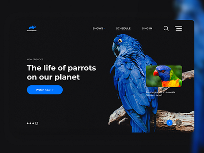 Animal Planet Redesign | Parrots