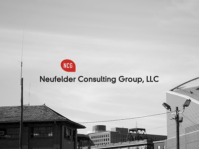 Neufelder Consulting Group Logo branding consulting design group identity logo mark type