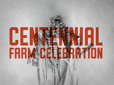 Centennial Farm Celebration Typography branding corn farm logo orange texture typography vintage