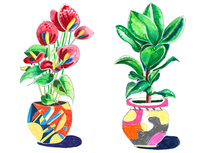 Anthurium & Rubber Plant llustrations anthurium branding ceramics drawing geometric geometry illustration nature painting plants pots rubber plant