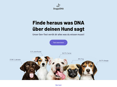 DoggoDNA - DNA tests by Petia Koleva Dribbble