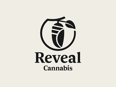 Reveal Cannabis brand design brand identity branding branding identity cannabis cannabis branding color palette illustration logo logo design typography